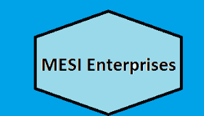 MESI Enterprises